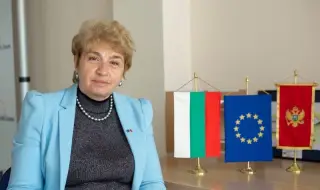 Меглена Плугчиева: Експертите в земеделието не са изненадани от протестите в Европа