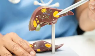 Черният дроб може да се омазни и увреди и без консумация на алкохол