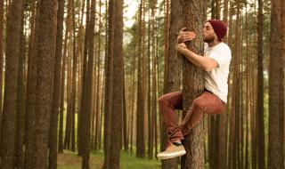 Чувствате се по-добре след разходка навън? Науката обяснява защо.