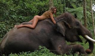 Гол модел се качи върху диво животно, а след това... (СНИМКИ) 