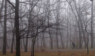 Утре ще е облачно и мъгливо