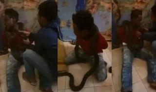Полицаи измъчвали заподозрян със змия