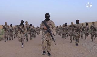 Интерпол предупреждава: &quot;Ислямска държава&quot; се цели в Европа (ВИДЕО)