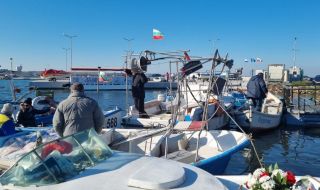 Необичаен улов направиха рибари от Бургас и Варна