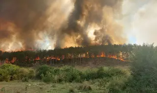 Critical situation in Southwest Bulgaria! A forest fire is burning in the region of Sandanski 