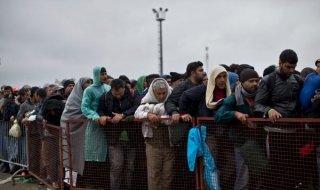 Толерантността не се налага