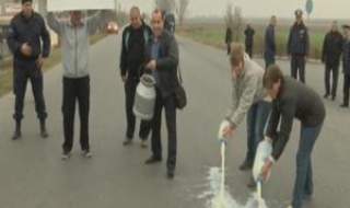 Протест на фермери заради млякото