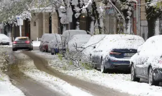 Много паднали дървета в София, снежната покривка е 35 см