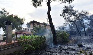 Пожар изпепели 20 000 декара в Гърция