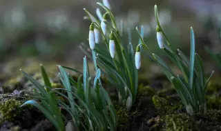 Времето днес, прогноза за сряда, 4 март: Ще преобладава слънчево време