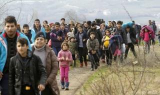 Над 600 000 бежанци са се върнали в Сирия