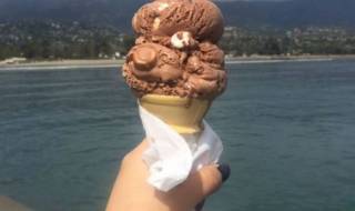 Чайка доказа защо храната трябва да се яде, а не да се снима (СНИМКА)