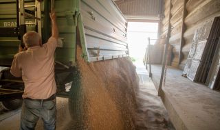 Украйна възнамерява да изнесе 280 000 тона храни за Световната продоволствена програма