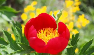 Времето днес, прогноза за понеделник, 13 април: Предимно слънчево, ще духа слаб вятър