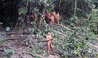 Тревога! Амазонската джунгла се топи