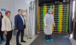 МЗХ и БАБХ надграждат контрола по цялата агрохранителна верига