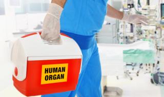 Откриха петима реципиенти, ползвали трафика на органи
