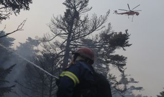 Цяла нощ продължи битката за потушаване на голям горски пожар в Кипър
