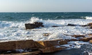 "Галъп": Българите предпочитат Черноморието