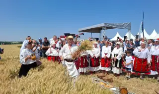 Жътвата официално започна