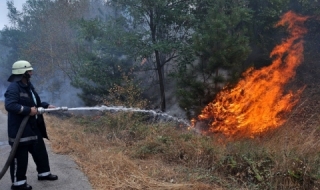 20 дни пожари – 20 000 дка изпепелени гори