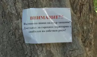 Черният леопард се появи до шуменски квартал