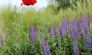 Today's weather, forecast for Sunday 2nd June: Sunny, thundery showers in the east and in the mountains 