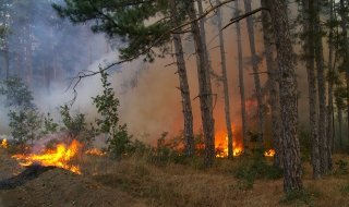 Военни предизвикаха огромен пожар над Казанлък - Обновена в 22.58
