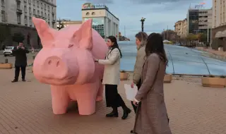 Прасе-касичка пред парламента