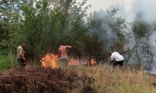 Овладяха пожара край село Мраморен