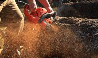 Повален дънер уби 18-годишен дървосекач във Врачанско