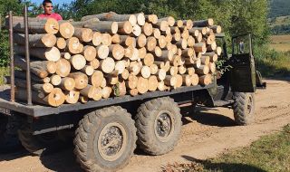 Доставиха дърва на пострадалите от наводненията в Карловско