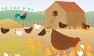 В кои страни е законно да си многоженец?