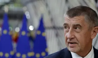 Бившият чешки премиер Андрей Бабиш беше ударен на митинг