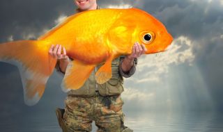 Рибар улови 30-килограмова златна рибка (ВИДЕО)