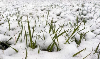 Валежите спират, остава студено