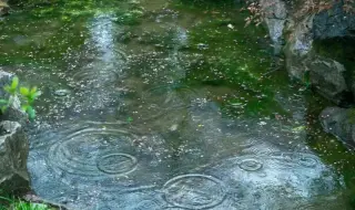 Weather today, forecast for Tuesday, April 21: Intense rainfall accompanied by thunderstorms 