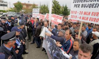 Нов голям протест в Албания