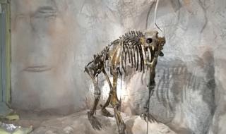 МРРБ ще прави от туристите миньори