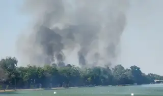 Пожар гори край Гребната база в Пловдив