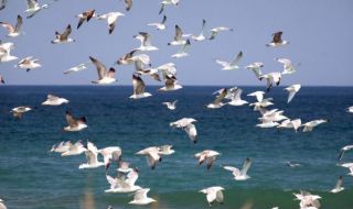 Слънчево начало на седмицата