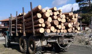 Камион с дървесина се преобърна в Смолянско, загина мъж