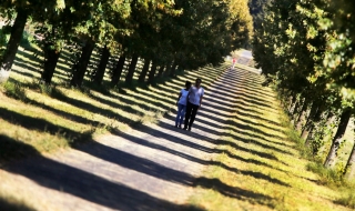 Населението в Германия се е увеличило заради бежанците