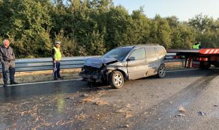 Диво животно предизвика катастрофа на пътя Хасково-Кърджали