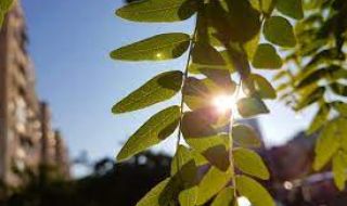 Работната седмица започва със слънце