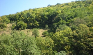 Една и съща поръчка в парк „Българка“ с разлика в цената 45 пъти