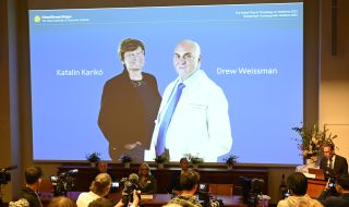 Създателите на иРНК технологията на COVID ваксините спечелиха Нобелова награда за медицина