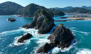 Япония е открила редкоземни елементи по време на дълбоководна проучвателна мисия