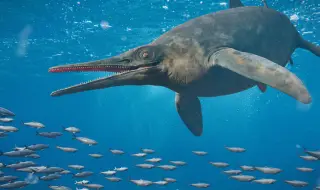 Останки на гигантски ихтиозавър изплуваха на плаж (ВИДЕО+СНИМКА)