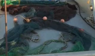 Извадиха 3 км бракониерски мрежи за улов на калкан от морето край Варна за месец